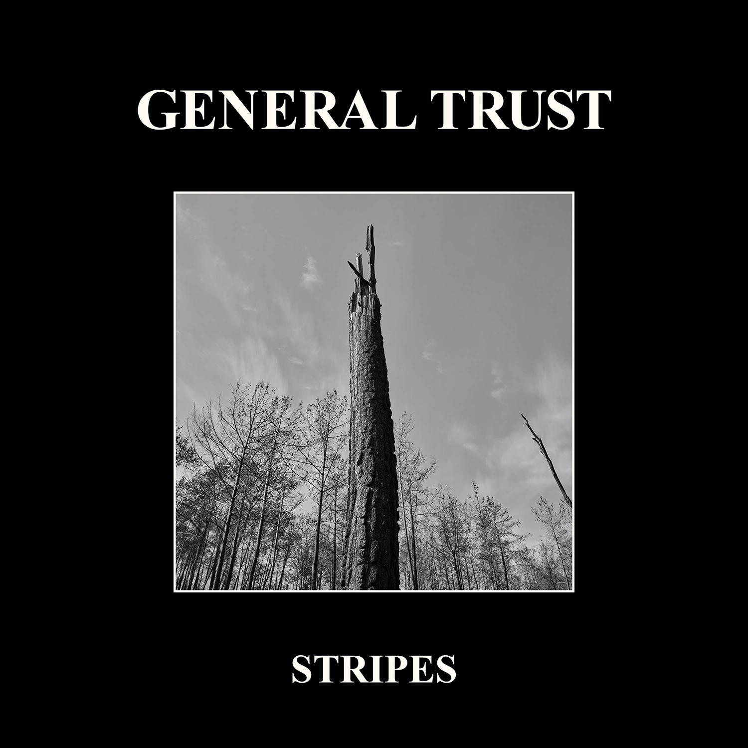 General Trust - 'Stripes'